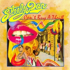 Steely Dan Cant Buy a Thrill Music Album Cover Poster Print 12 x 12