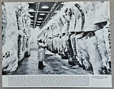 VINTAGE PHOTO MAN WORKING SLAUGHTERHOUSE MEAT PROCESSING FACILITY HOG PORK PIG