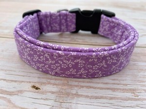 wienerlock dog collar