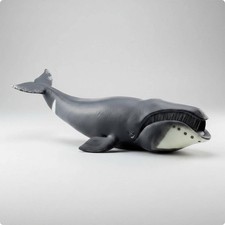 Realistic Bowhead Cetacean Model Educational Plaything Sturdy for Desk, Kids