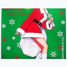 [1996] VERY RARE! Fatal Fury Mai Shiranui Christmas Santa Poster SNK SEGA Saturn