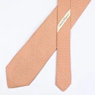 Salvatore Ferragamo Tie Silk Necktie Berry on Orange