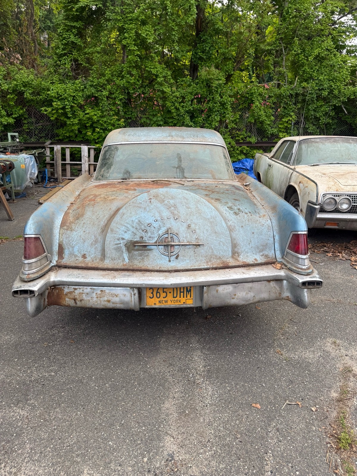 1956 Cadillac De Ville for sale in Fairfield Connecticut