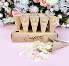 25 Biodegradable Kraft Confetti CONES Dried Petal CONFETTI + Stand TRAY Holder