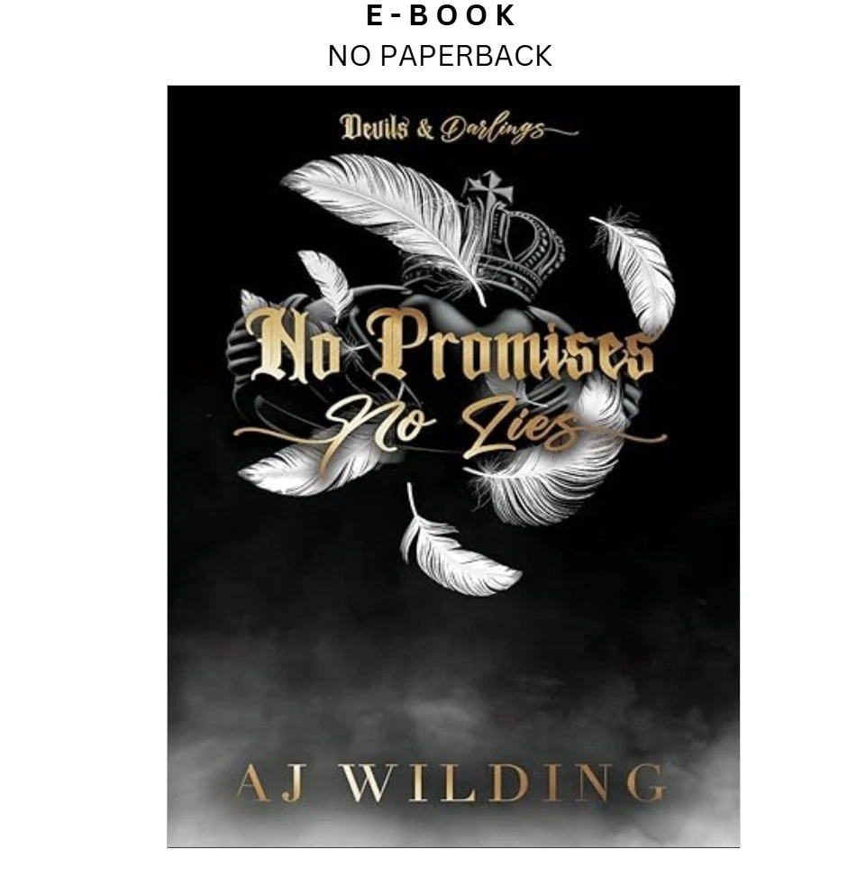 Buy No Promises, No Lies ebook, instant digital download PDF from LD Global
