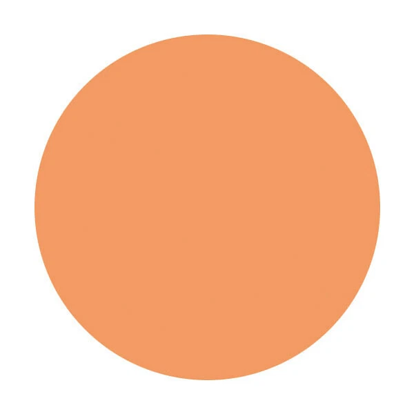 Shiseido Majolica Majorca Puff de Cheek OR302 7g - Image 3 of 3