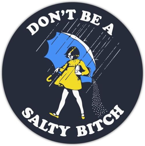 Adhesivo de vinilo brillante troquelado para computadora portátil Don't Be a Salty Bitch - Imagen 3 de 3