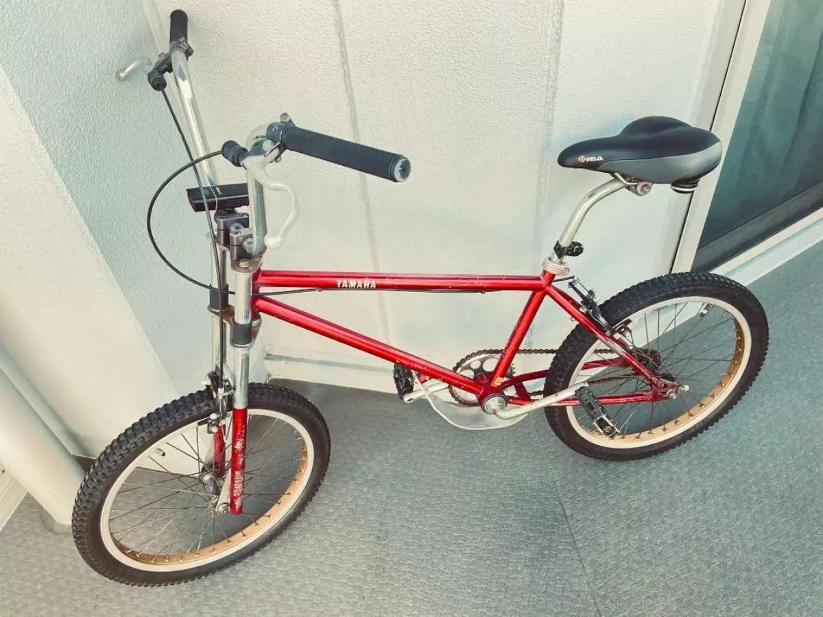 Free spirit hotsell bmx bike