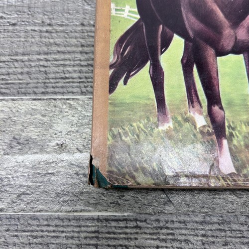 Vintage 1951 Black Beauty Book by Anna Sewell Hardcover - Picture 3 of 10