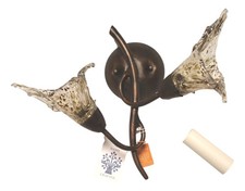 Double Light Fixture Wall Sconce with Blown Glass Shades Rustic Modern Art Decor