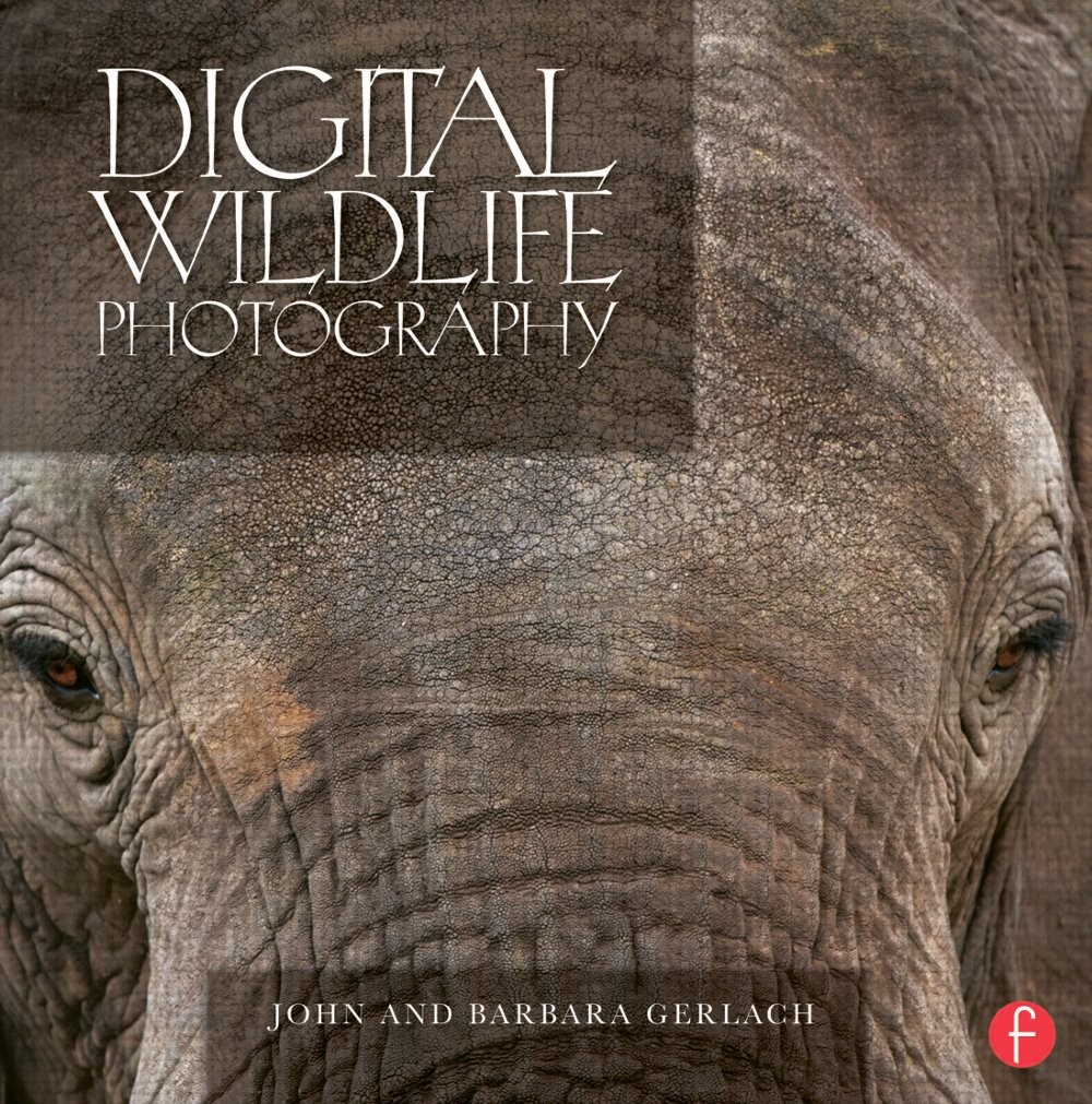 Digital Wildlife Photography