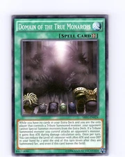 Yu-Gi-Oh TCG Domain Of The True Monarchs SR01-EN024 Unlimited Common Card NM