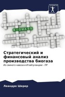 Leandro Sherer | Strategicheskij I Finansowyj Analiz Proizwodstwa Biogaza | Buch