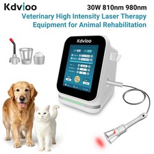 High Power Laser Physiotherapy Device 30W 810nm 980nm for Acute and Chronic Pain