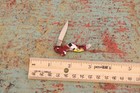 Vintage German Fight'n Rooster Solingen END OF DAY Celluloid Mini Shoe Knife — photo 2