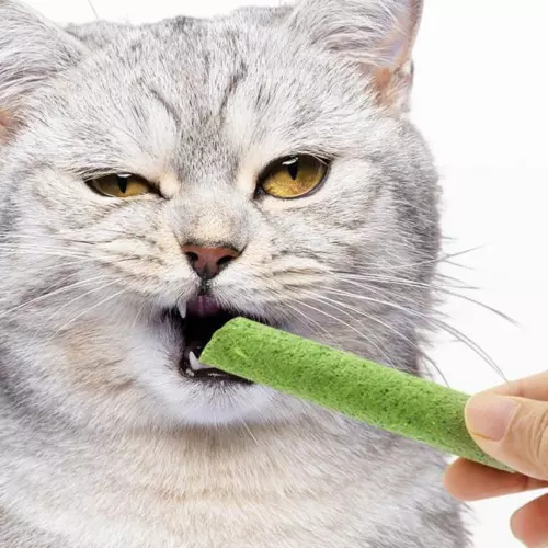 Cat Grass Teething Stick - Professional Natural Cat Grass Sticks Grinding Rod Toy (6 pcs)