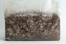 CO2 BAG INDOOR  AQUAPONICS HYDROPONICS GROW TENT BOOST EXHALE 6 MONTHS co2