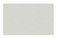 Erismann Tapete Vlies Isabella 5918-31 Hellgrau Grau Uni