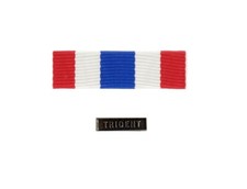 DIXMUDE MEDAILLE DE LA PROTECTION MILITAIRE DU TERRITOIRE + AGRAFE TRIDENT NEUVE
