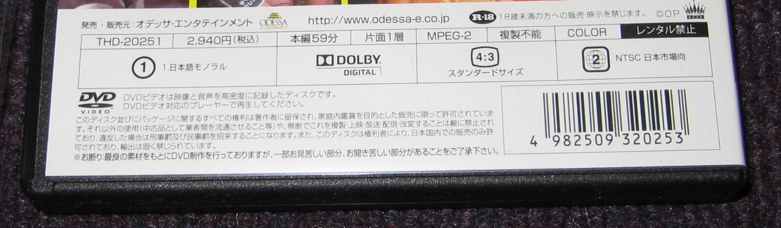 Foto 10 di 10