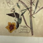 Bild 3 von 12