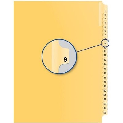 Davis Group Index Divider B14009