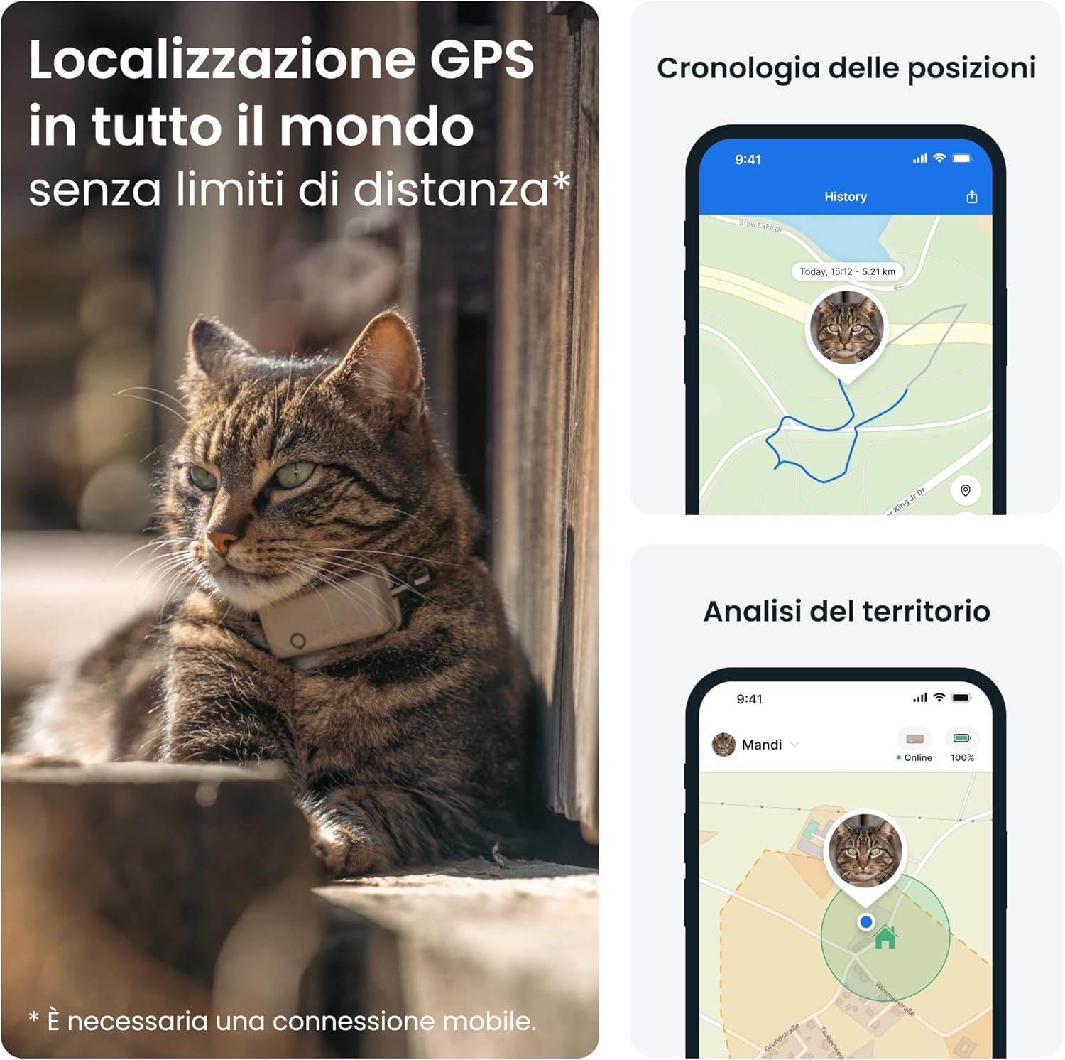 Recensione GPS Gatto Modello Mini | Testato e Approvato n. 1 - 2