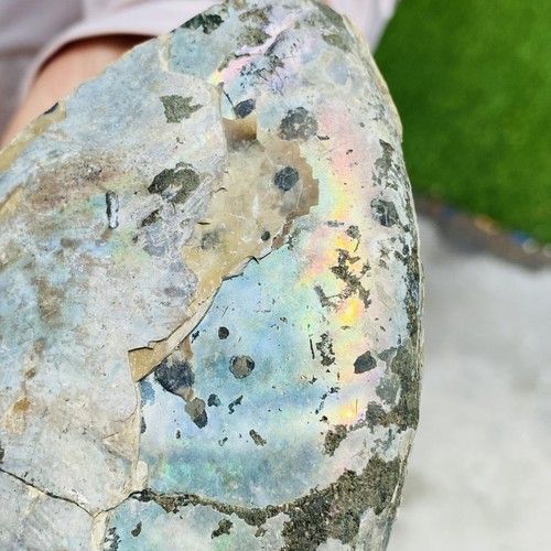 Caracola de iridiscencia natural de 3,3 lb fósil de amonita cámbrica geología cristalina - Imagen 7 de 14