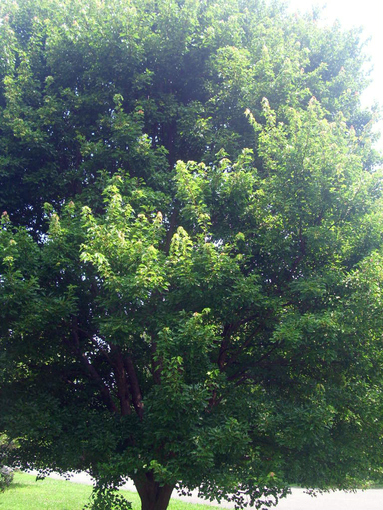 Picture 6 of 10