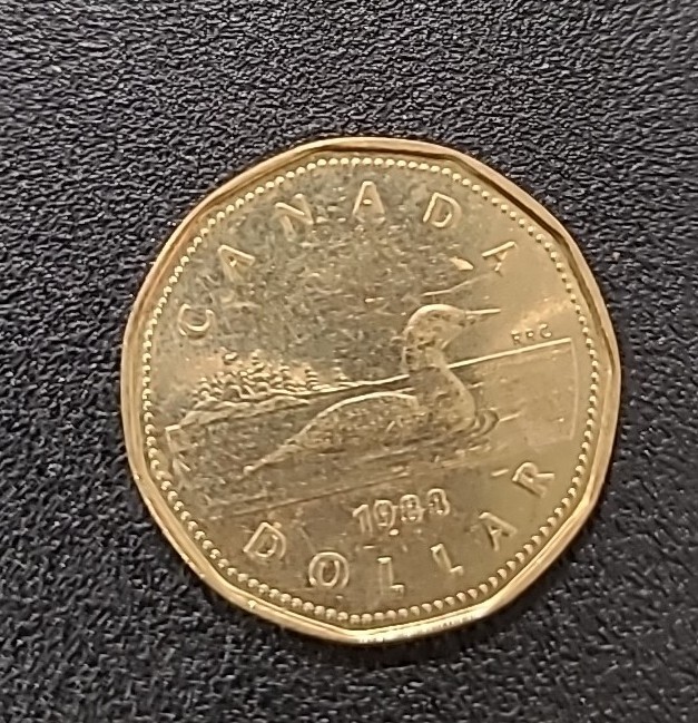 1988 Canadian 1 One Dollar Loonie Coin Canada Elizabeth II Loon EBay 1988-canadian-1-one-dollar-loonie-coin-canada-elizabeth-ii-loon-ebay