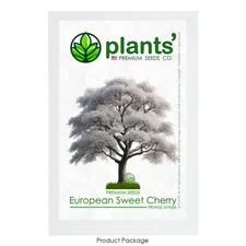 European Sweet Cherry Tree | Premium Seeds | Prunus avium 'Spring' | Plants'®