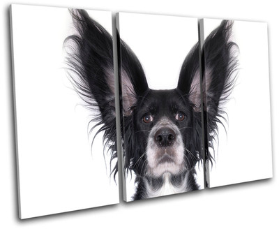 Funky Cool Dog Animals TREBLE Leinwand Wand Kunst Bild drucken