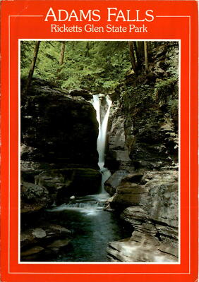 Adams Falls, Ricketts Glen State Park, Luzerne County, Pennsylvania Postcard
