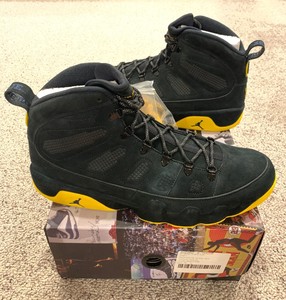 michigan jordan 9