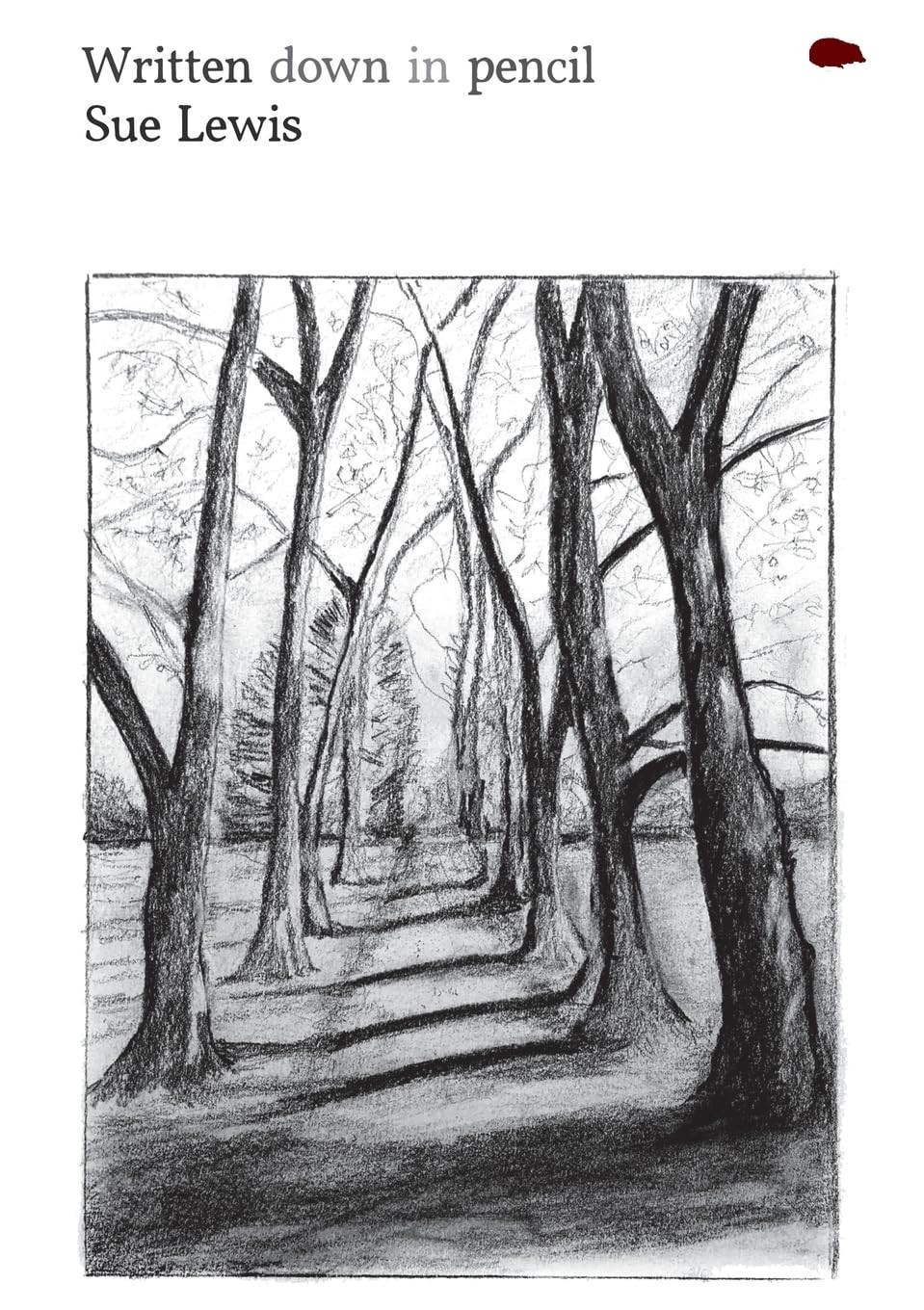 Сью Льюис, записанная карандашом (Taschenbuch)