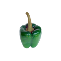 Design Garten Skulptur Figur Paprika Laden Dekoration Deko Aussteller 58Cm Neu