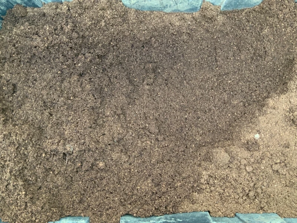 Perlita, vermiculita y musgo de turba - Gran mezcla inicial de semillas Foto 4 de 4