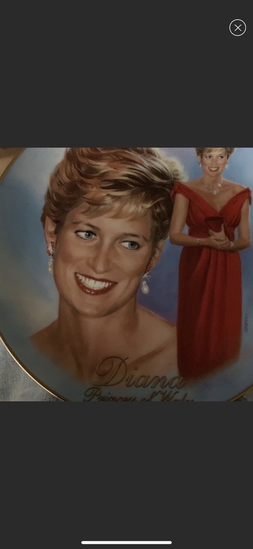 Princess Diana Red Dress Porcelain Plate