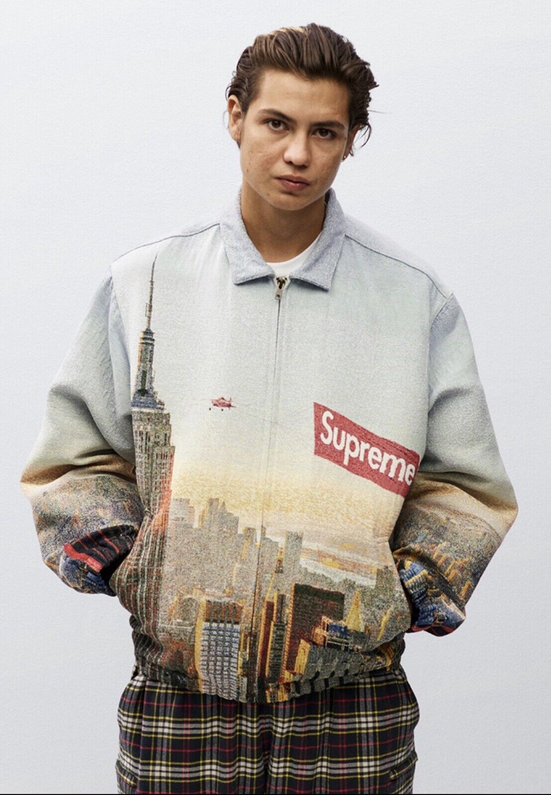 supreme Aerial TapestryHarrington Jacket