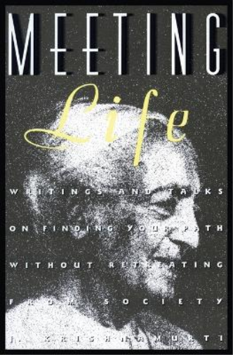 Jiddu Krishnamurti Meeting Life (Tascabile)