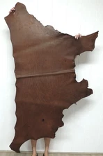 5-6 oz. VEG TANNED CALF Leather Hide for Wallets Sheaths Straps Bags Cases Craft