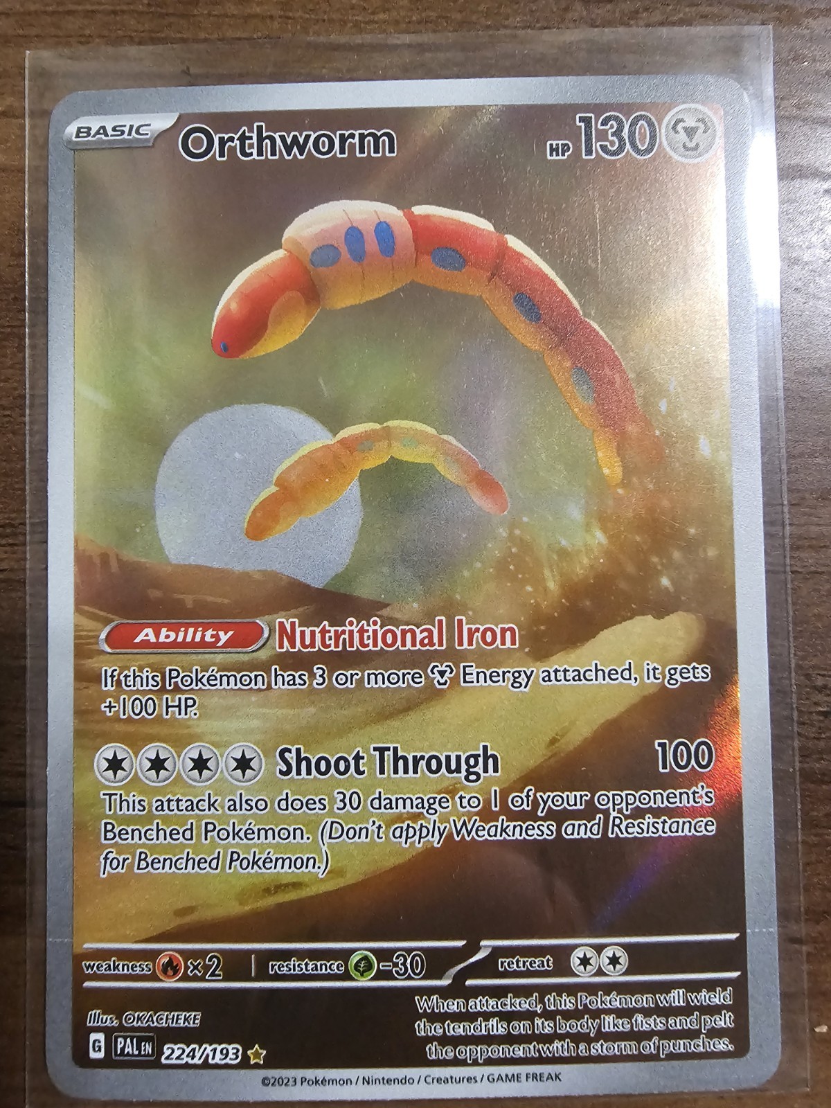 Pokémon Orthworm Card PAL Set 