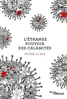Létrange pouvoir des calamités von Le Bris, Hélène | Buch | Zustand gut