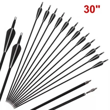 12Pcs 30" Fiberglass Archery Arrows Spine 500 with Removable Tips Hunting Target