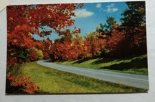 Autumn Color Along The Parkway Blue Ridge Parkway, Virginia, N.C. Postcard (N1)