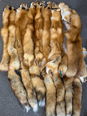 Red Fox Fur, Soft Tanned Pelt,#1&2 Quality,MD-XL Sizes, Crafts, Leather, Sewing