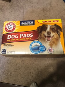 arm and hammer dog pads