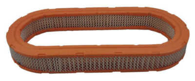 Air Filter Pentius PAB3621