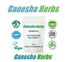 Organic Echinacea Purpurea 10:1 Concentrated Extract Powder 50 grams no fillers!