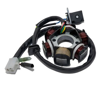 Lichtmaschine für Peugeot Speedfight 1 50 AC Zenith 2 TKR LC 307 WRC